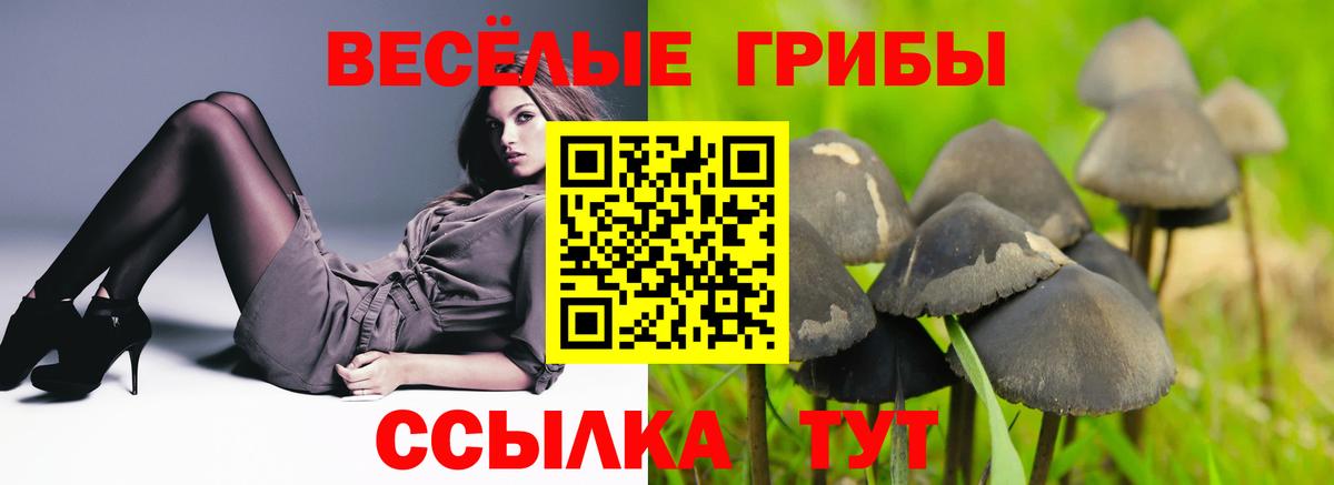 Галлюциногенные грибы мухоморы Вязники