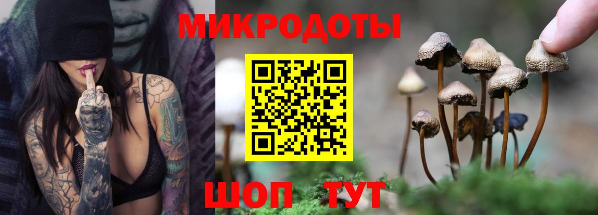 Галлюциногенные грибы ЛСД  Вход с VPN  Вязники 